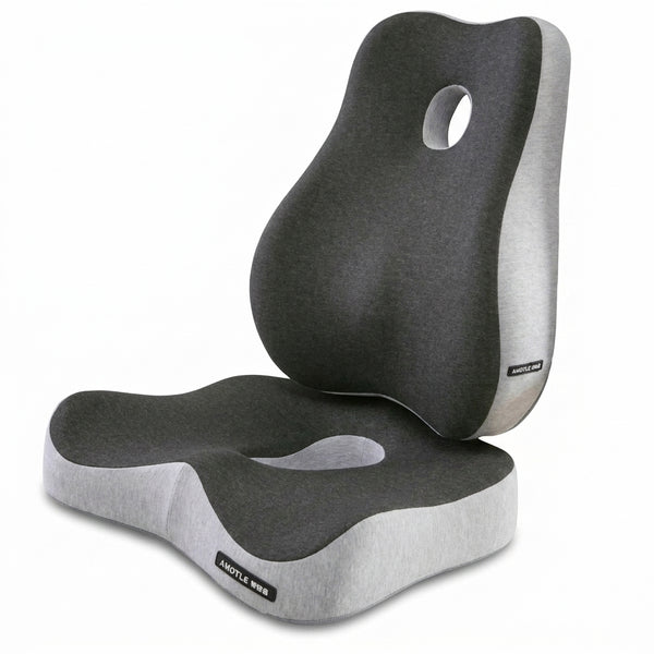 Ensemble Assise + Dossier Posture